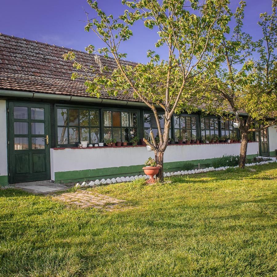 Etno Salas - Etno Ranch - Seosko Turisticko Domacinstvo Palic Exterior photo