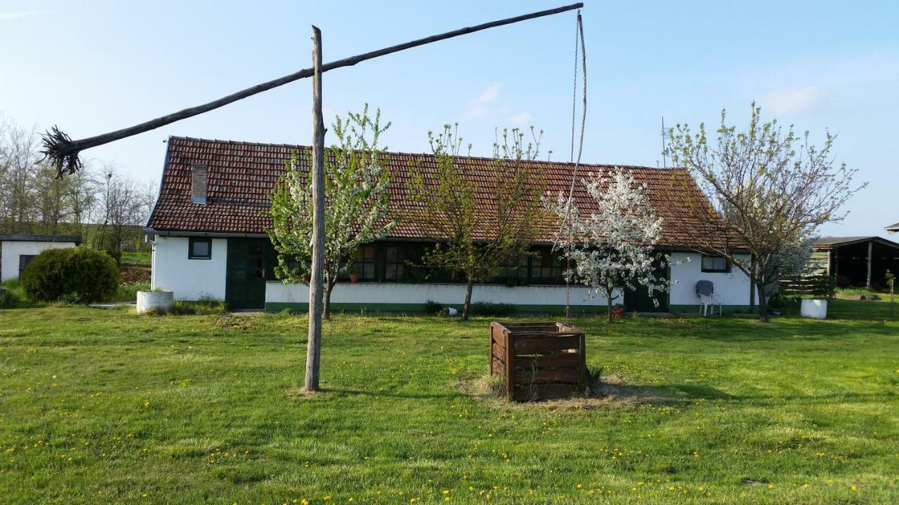 Etno Salas - Etno Ranch - Seosko Turisticko Domacinstvo Palic Exterior photo